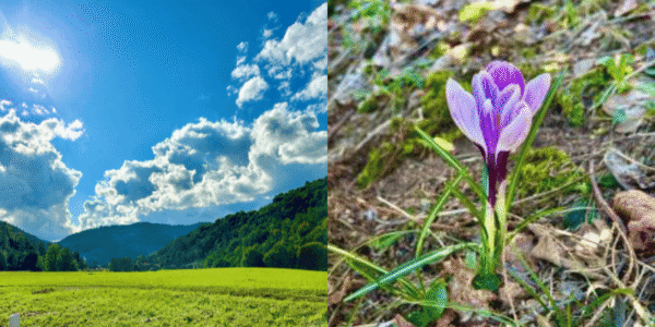 Natur und Stimmung - Impulse im BDB-Kulturhotel für Ihre B2B Tagungen und Business-Konferenzen