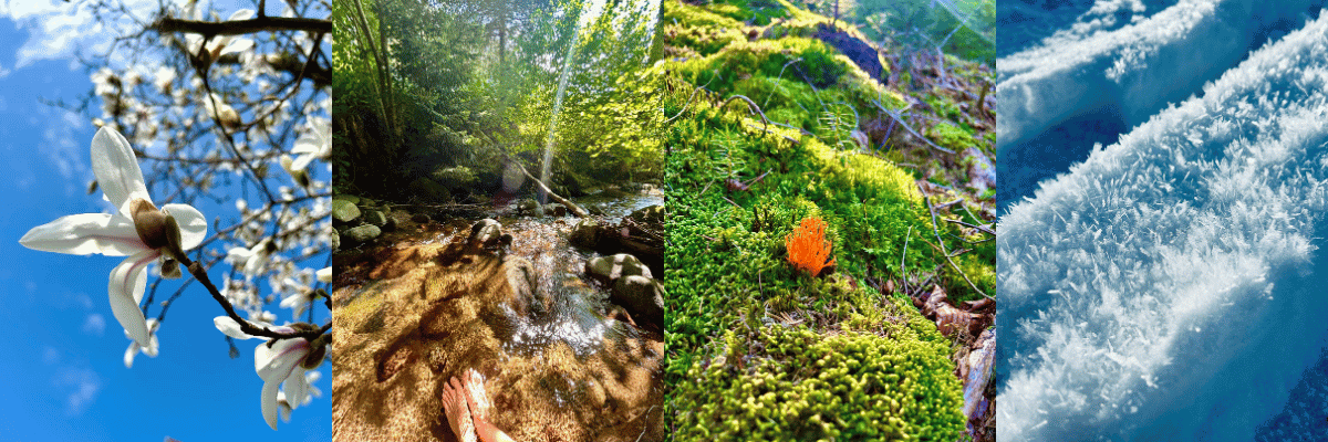 Natur und Stimmung – Impulse im BDB-Kulturhotel für Ihre B2B Tagungen und Business-Konferenzen Natur und Stimmung - Impulse im BDB-Kulturhotel für Ihre B2B Tagungen und Business-Konferenzen