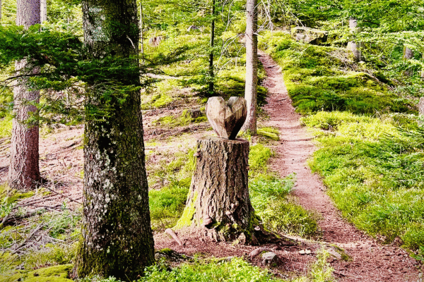 Natur und Stimmung – Impulse im BDB-Kulturhotel für Ihre B2B Tagungen und Business-Konferenzen Natur und Stimmung - Impulse im BDB-Kulturhotel für Ihre B2B Tagungen und Business-Konferenzen